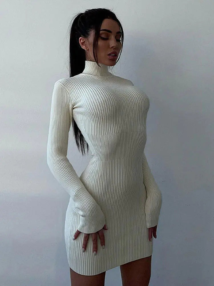 Elegant Sweater Dress