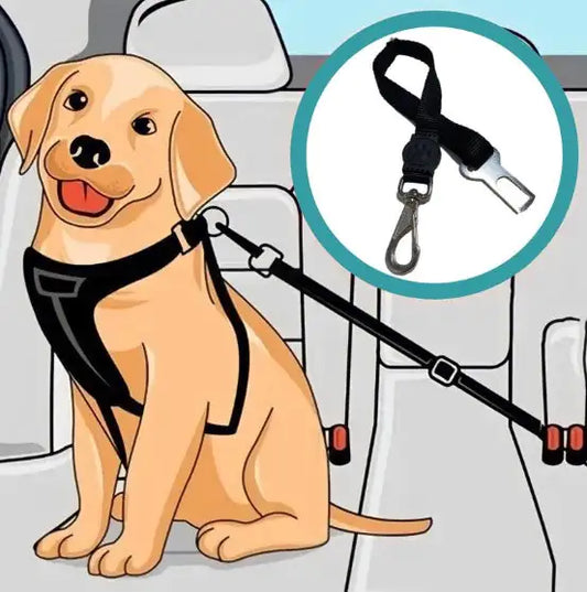 Pet Seat Belt